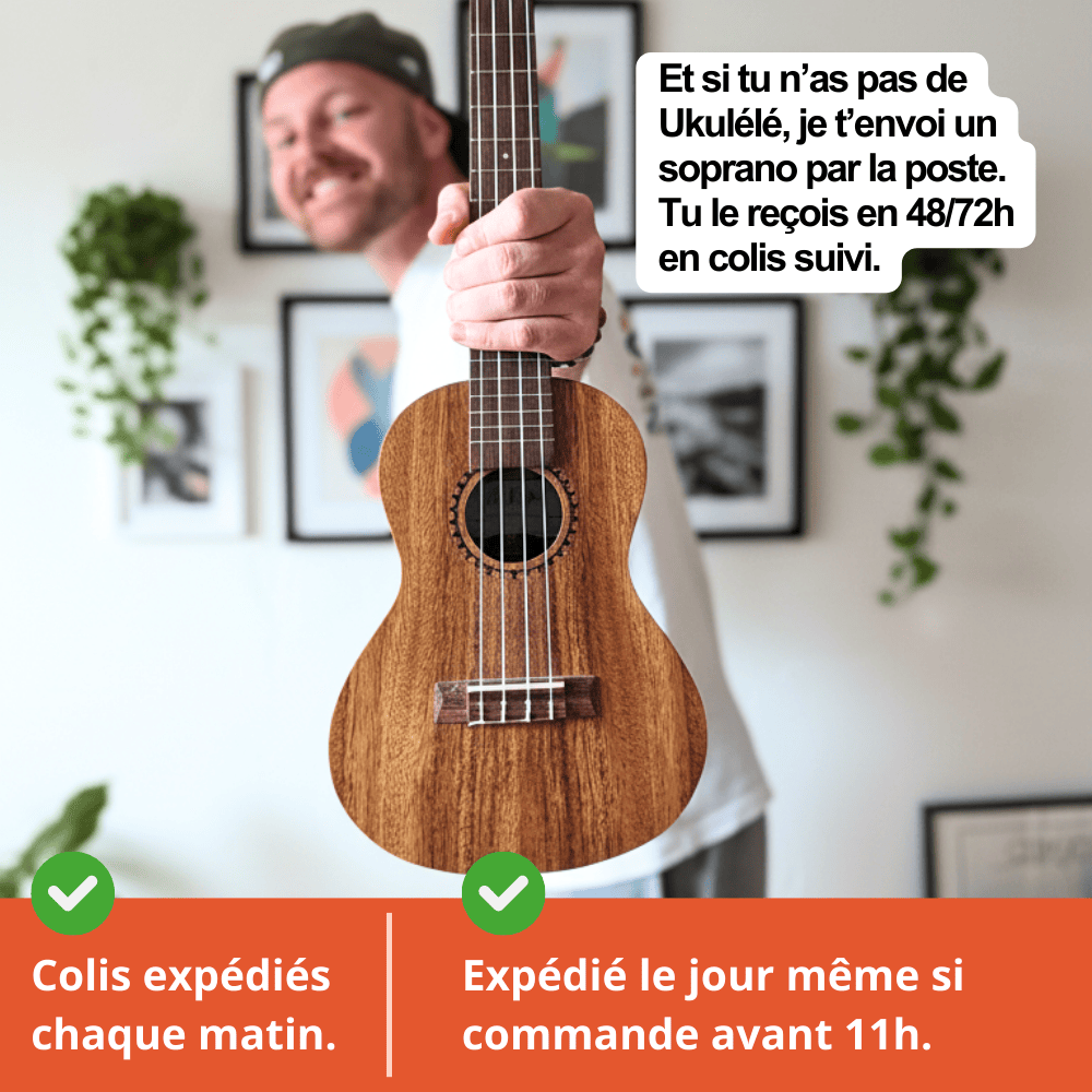 Vos accès au cours incroyable - L'école du Ukulélé